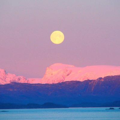 天健棋牌手机app下载